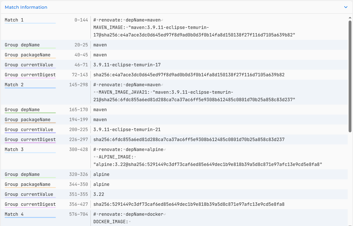 tests de la regex Renovate et du fichier global Match found